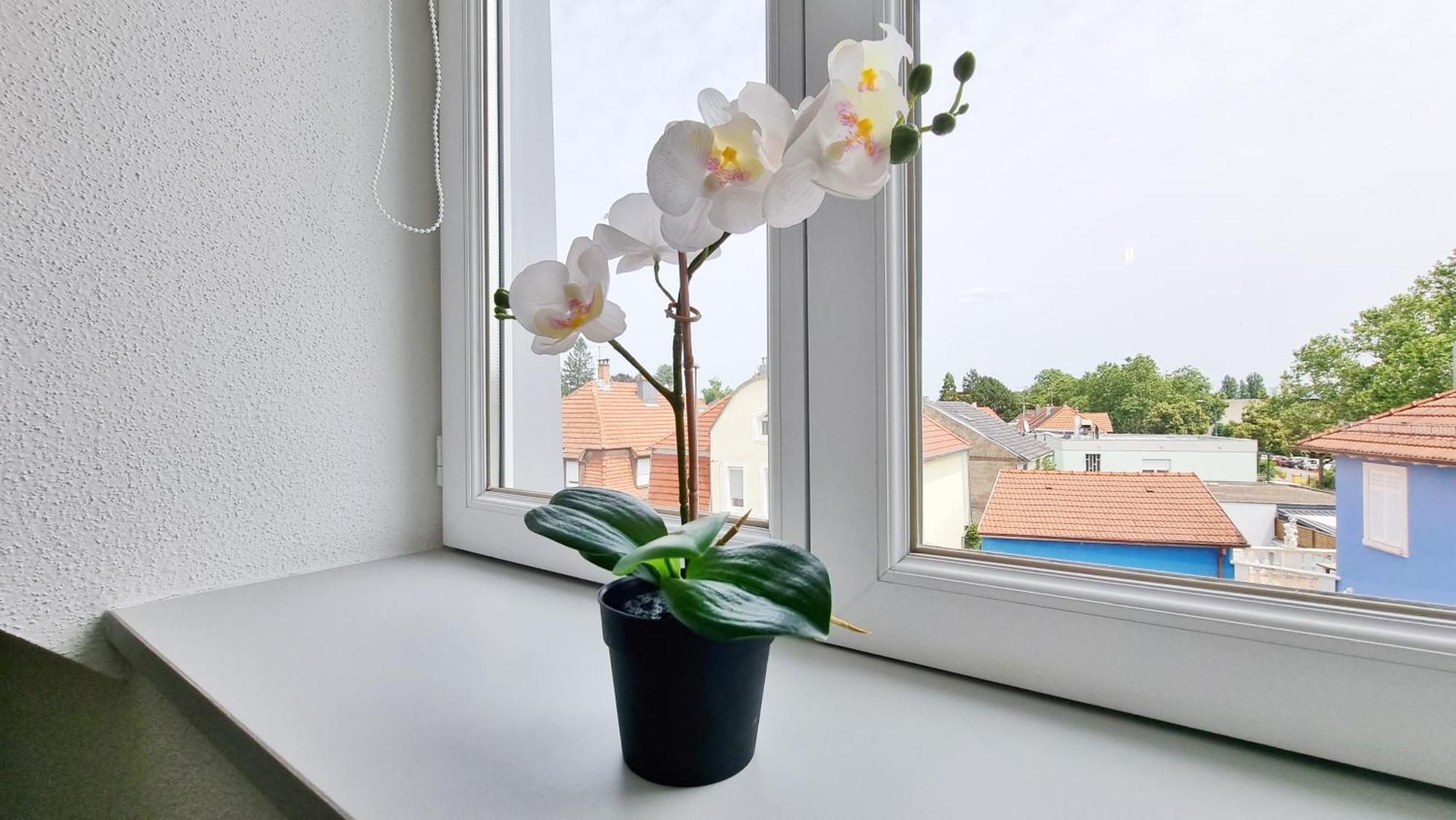 Le Triplex - 5 Chambres - 10 Pers- Fibre - Relax Bnb Mulhouse Luaran gambar